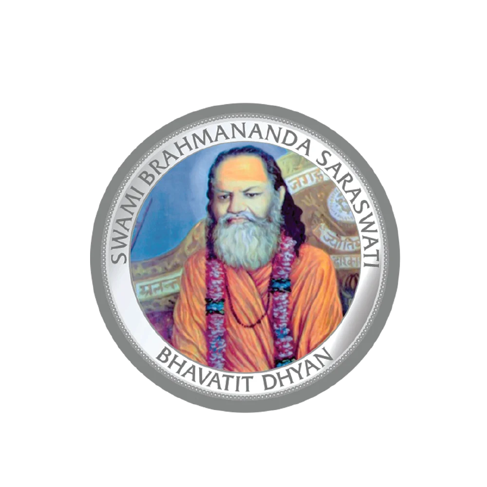 Silver Coin 12